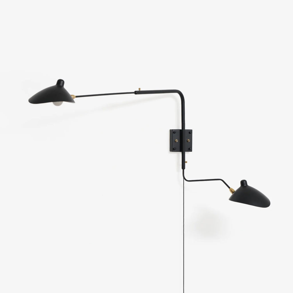 Versatile Arm Wall Sconce