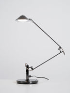 Adjustable Black Office Task Lamp
