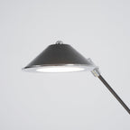 Adjustable Black Office Task Lamp