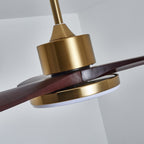 Aurevo Ceiling Fan Light