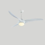 Traditional Ceiling Fan Light