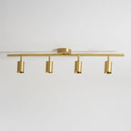 Cylinder Brass Series Ceiling Lamp