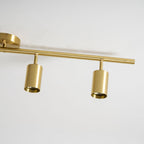 Cylinder Brass Series Ceiling Lamp