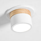Alva Wooden Surface Downlight