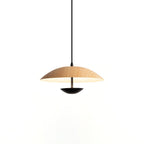 Frisbee Pendant Lamp
