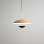 Frisbee Pendant Lamp
