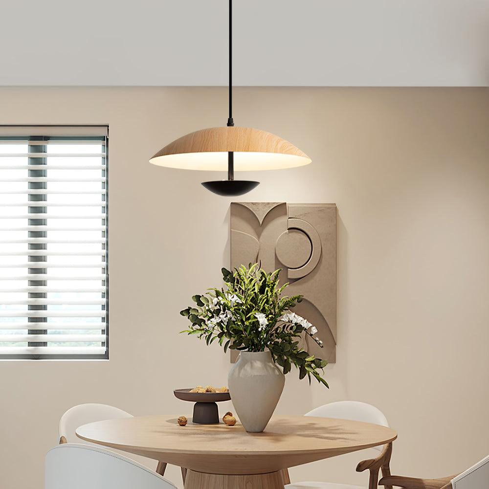 Frisbee Pendant Lamp