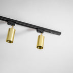 Gilded Rail Track Light