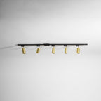 Gilded Rail Track Light