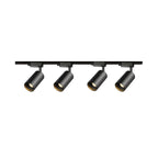 Gilded Rail Track Light