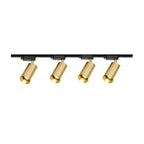 Gilded Rail Track Light