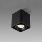 Giyan Surface Spotlight