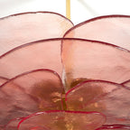 Petals Glass Chandelier