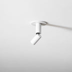 Julian Adjustable Surface Downlight