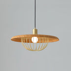 Kasa Pendant Lamp