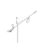 Long Arm Wall Lamp