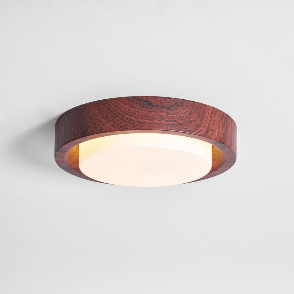 Lunor Ring Ceiling Light