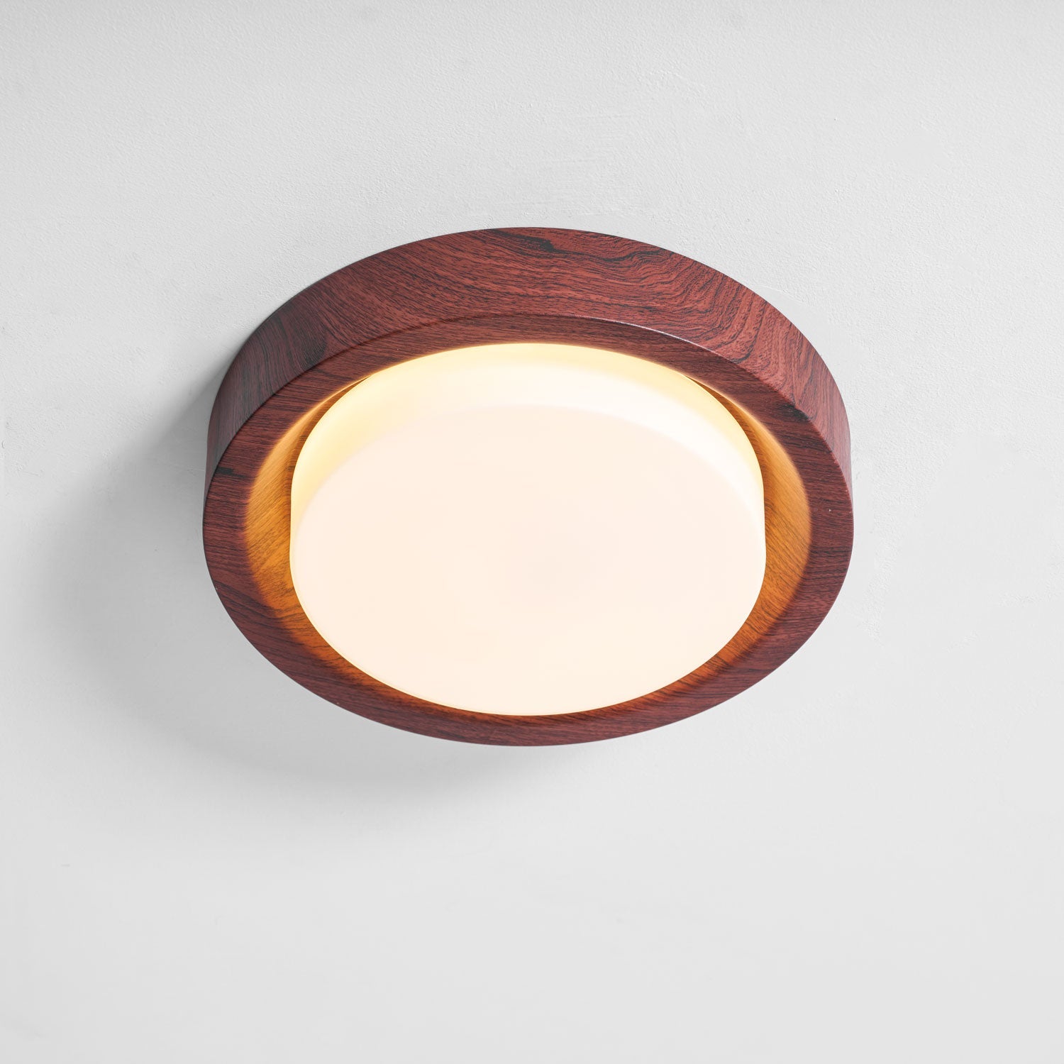 Lunor Ring Ceiling Light