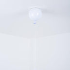 Balloon Dream Pendant Light
