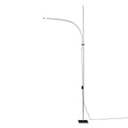 Metal Body Graceful Floor Lamp