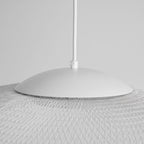 Metallic Meshwork Pendant Lamp