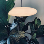 Opal Disc Suspension Lamp