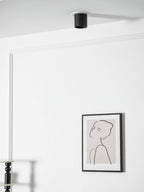 Modupoint Ceiling Light