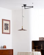 Crane Swing Arm Pendant Lamp