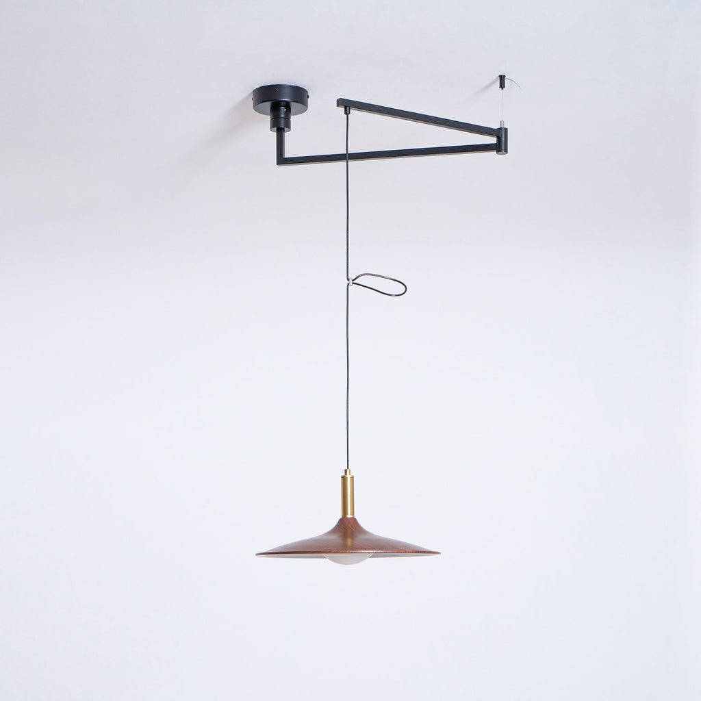 Crane Swing Arm Pendant Lamp