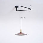 Crane Swing Arm Pendant Lamp