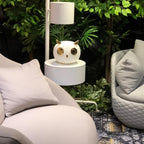 Pet Desk Light