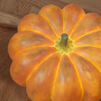 Portable Pumpkin Table Lamp