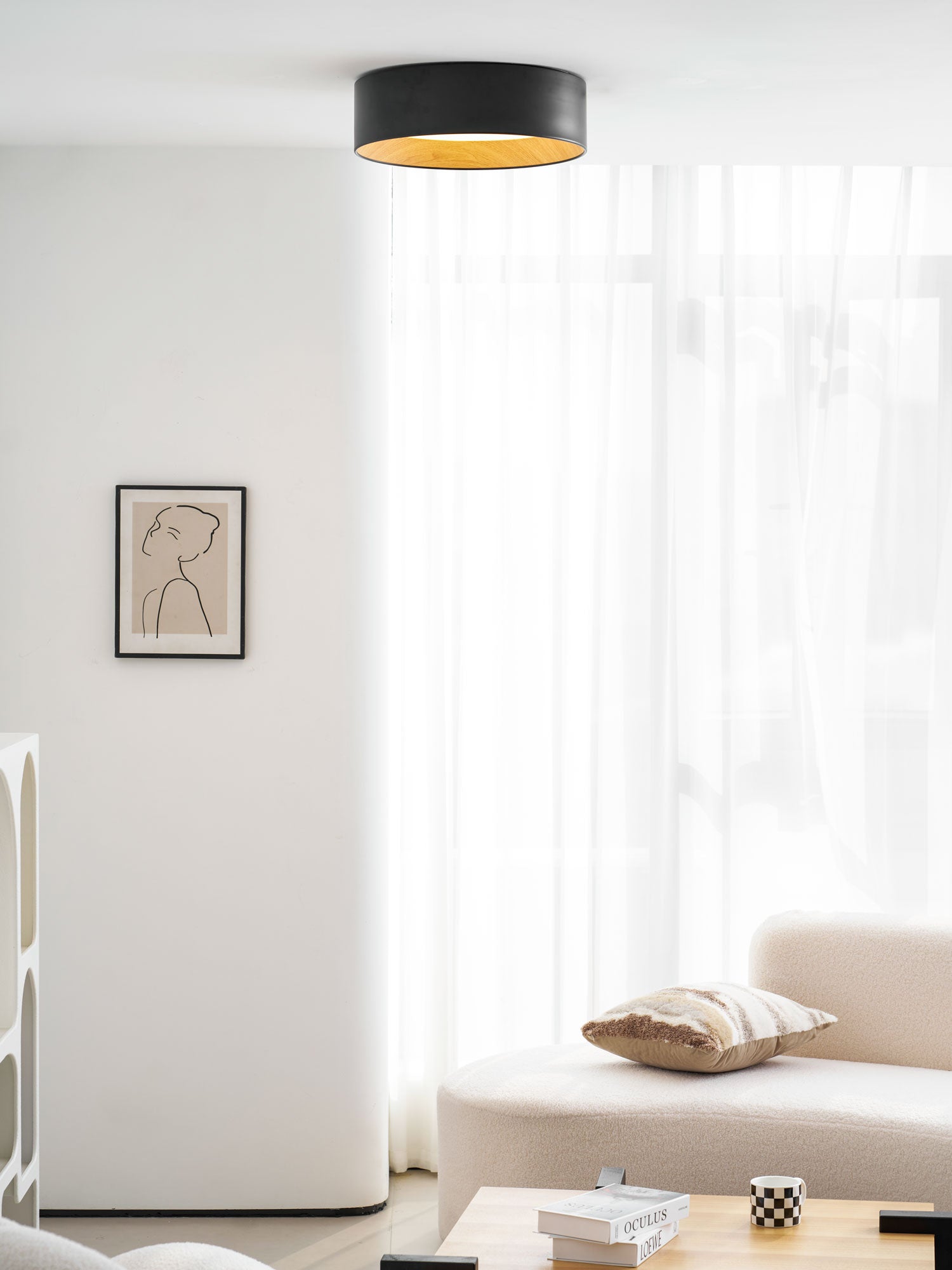Round Ceiling Lamp