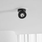 Round Rotating LED Downlight