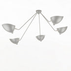 Multi-Arm Spider Ceiling Lamp B