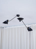 Multi-Arm Spider Ceiling Lamp B