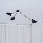 Multi-Arm Spider Ceiling Lamp B