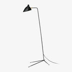 Arm Spider Floor Lamp