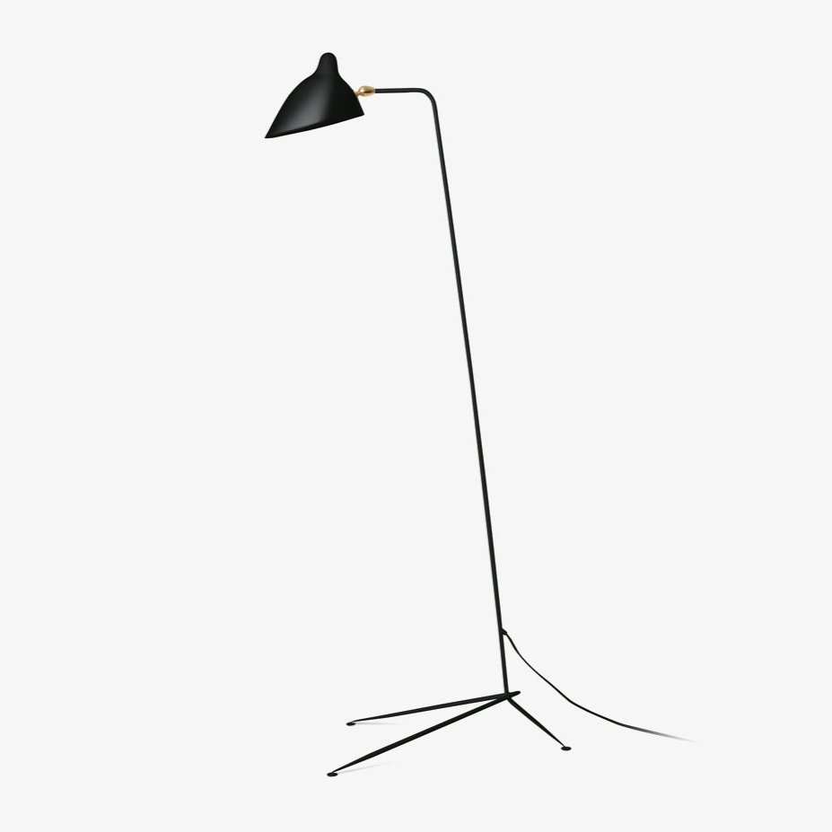 Arm Spider Floor Lamp