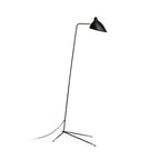 Arm Spider Floor Lamp