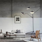 Arm Spider Floor Lamp