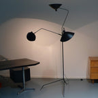 Arm Spider Floor Lamp