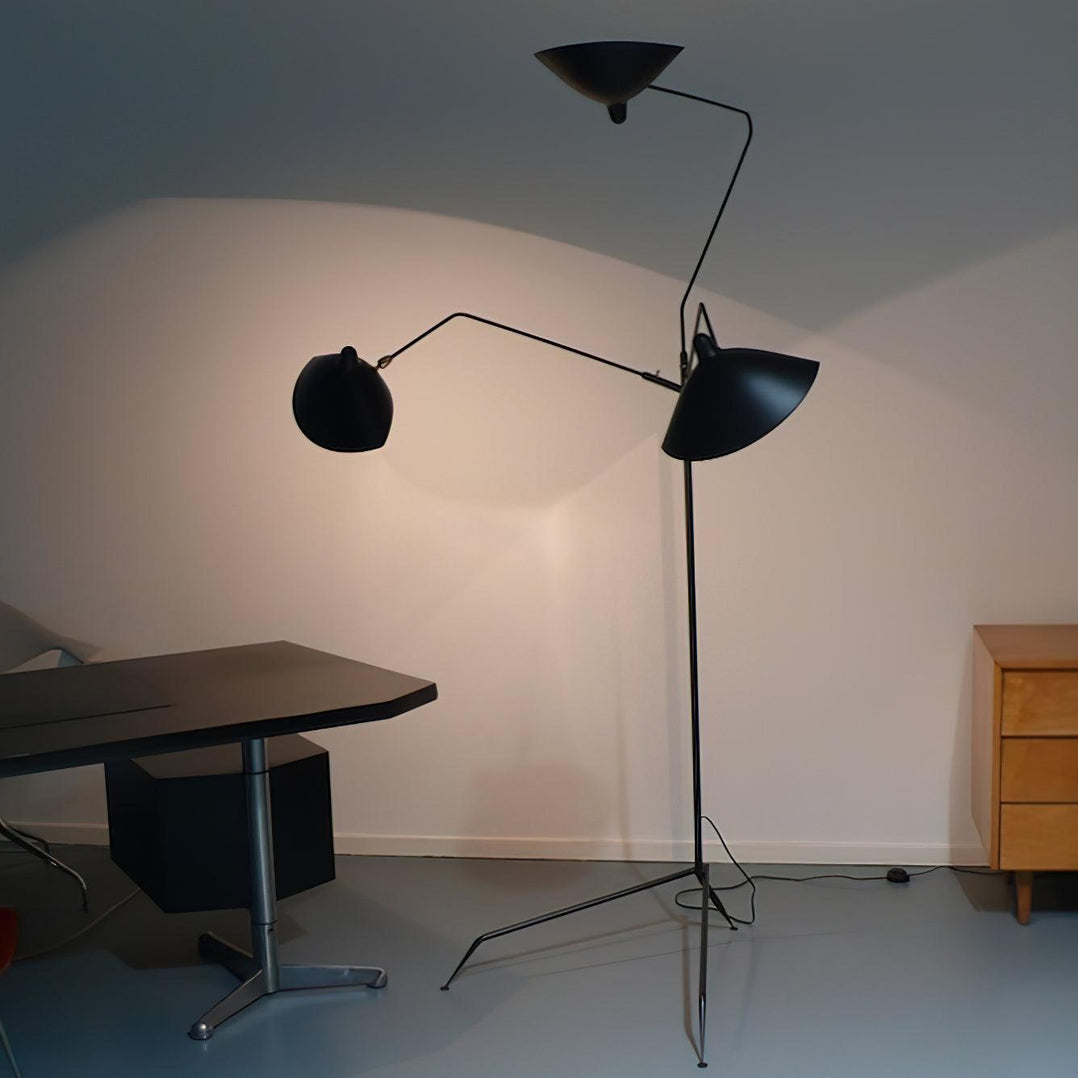 Arm Spider Floor Lamp