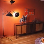 Arm Spider Floor Lamp