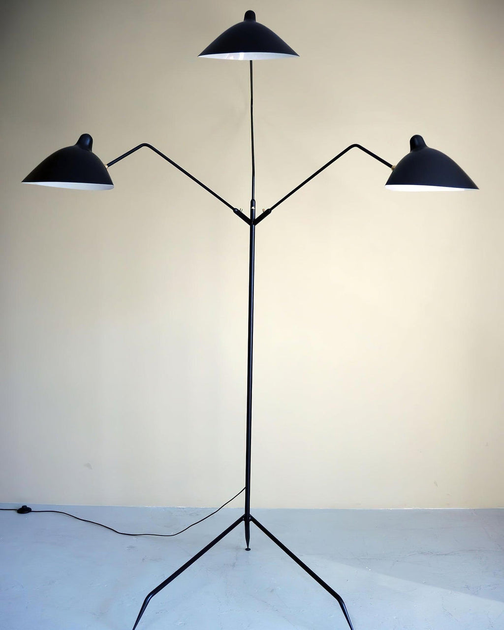 Arm Spider Floor Lamp