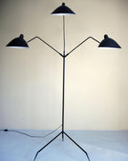 Arm Spider Floor Lamp