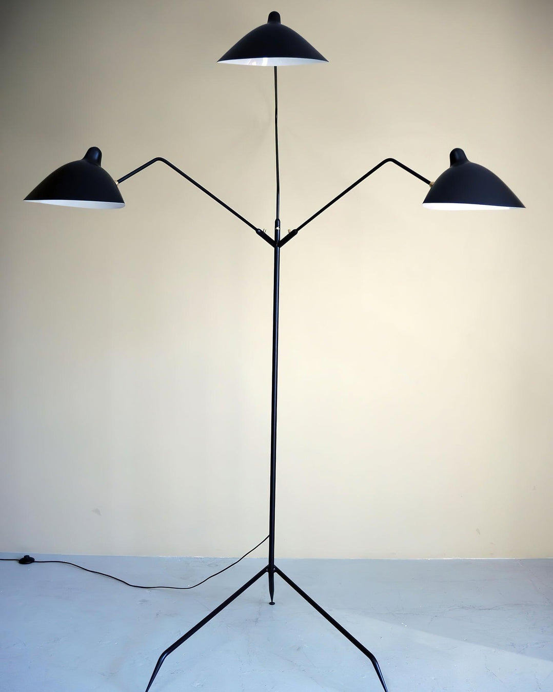 Arm Spider Floor Lamp