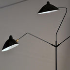 Arm Spider Floor Lamp