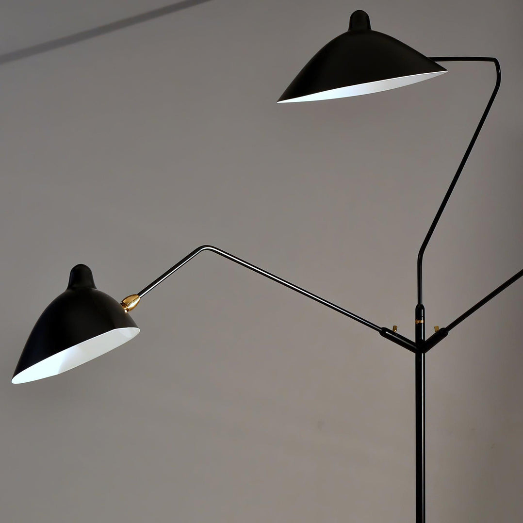 Arm Spider Floor Lamp
