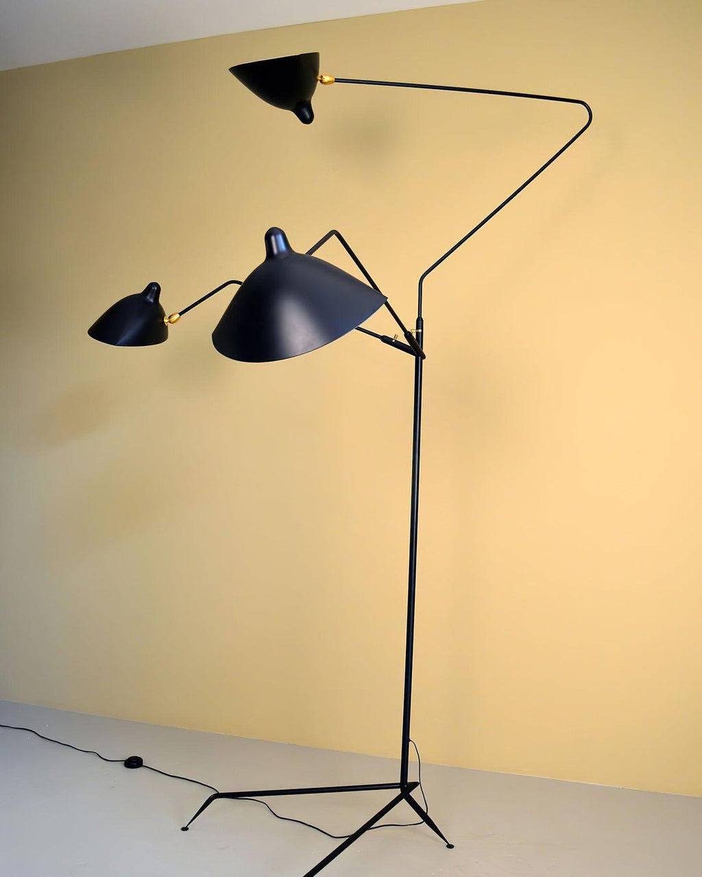 Arm Spider Floor Lamp